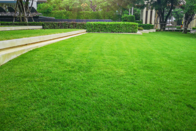 lawns block photo